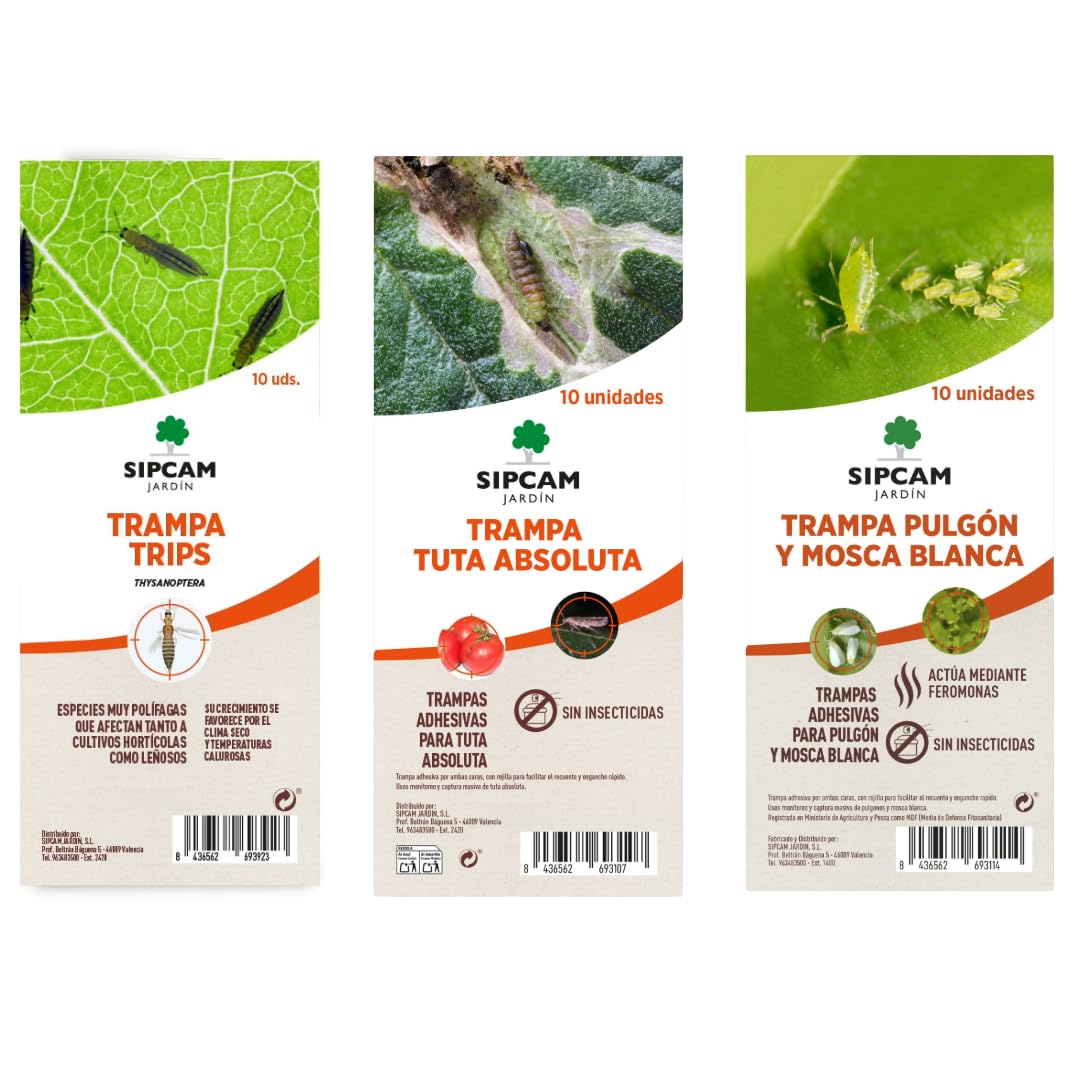 Pack Insectos: 10 trampas Adhesivas para pulgon y Mosca Blanca + 10 Tuta Absoluta + 10 Trips. Sin insecticidas. Listas para Usar. Cromatica.