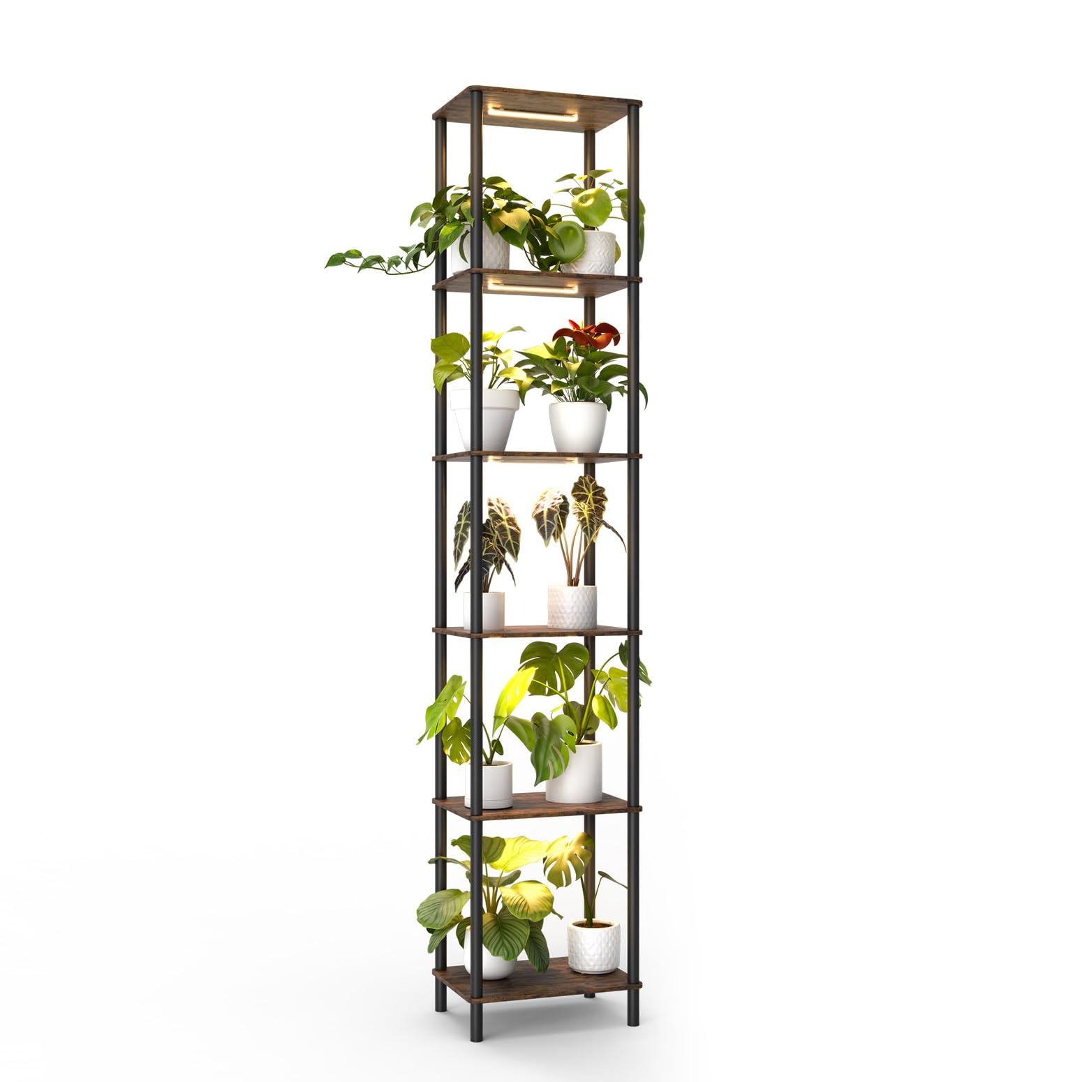 Bstrip Support pour plantes d'intérieur avec lampes de culture, étagère à
