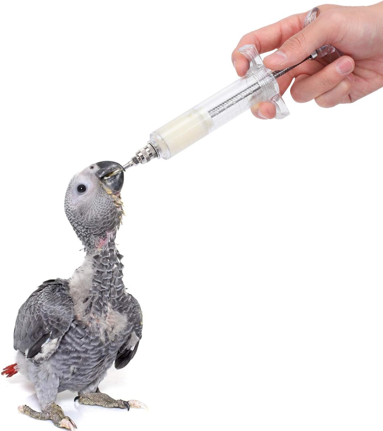 Birds min World Feeding Needle and Syringe Kit | Curved Needles | Ball Tip | 20 ml Syringe | Stainless Steel | for Finch Canary Lovebirds Budgies Cocktail and Hamster. (Syringe with 3 Needle) 4