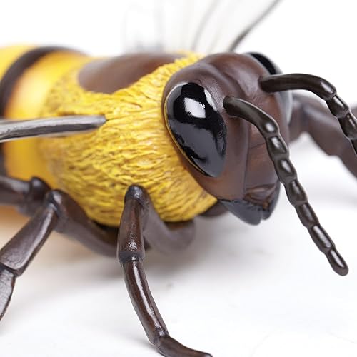 Miniatura 5 de Safari Ltd. Figura de abeja de miel, figura realista de modelo de 5.5 pulgadas, juguete educativo para niños, niñas y niños a partir de 3 años
