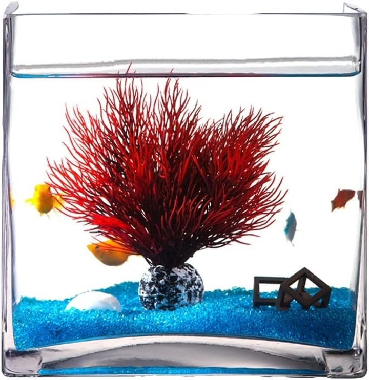 Aquarium Personality Creative Square Glass Fish Tank Aquarium Home Living Room Desktop Turtle Tank Aquarium Decoration Fish Tank Decorations (Color : Large)