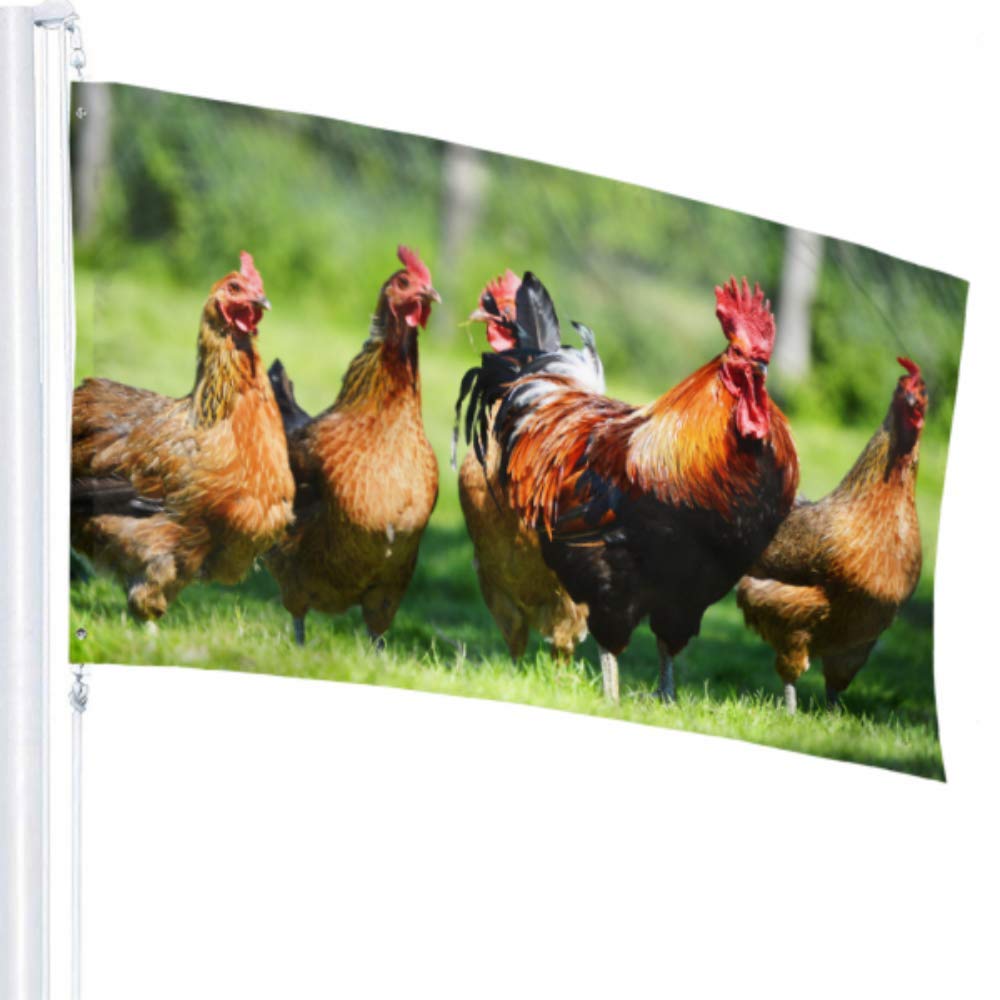 Gartenflagge Hühnerstall-Motiv 30x45cm - Doppelsei Produktbild-Vorschau 7