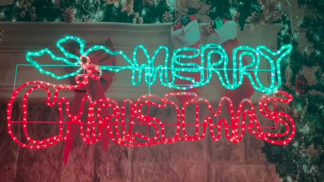 Amazon.com: LAMPHOME [Large 48