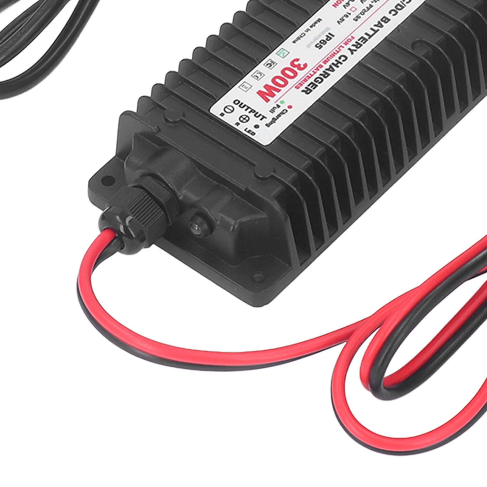 Fafeicy Caricabatterie Al Litio Caricatore Caricatore Agli Ioni di Litio 43,8 V 6,7 A 300 W IP65 Impermeabile con Stato LED per Apparecchiature di Veicoli (Spina europea)
