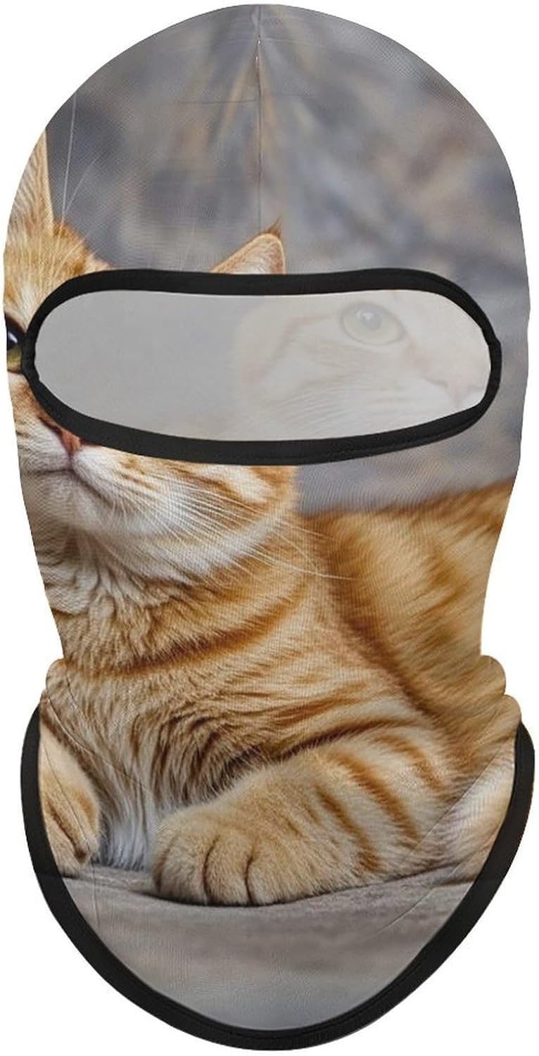 Balaclava Face Mask for Men Women Sun Protection Full Face Cover | Breathable Cute Cat Full Face Mask Windproof Ski Mask Motorcycle Helmet Lining for Outdoor Sport Cycling