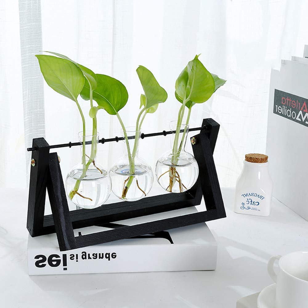 INOOMP Vase Verre Pour Plantes Succulentes Contenant Hydroponique Pour