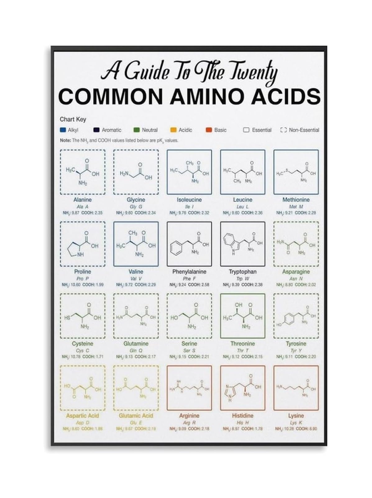 IDGTTLDF Science Wall-Art Amino Acids Chart Poster Structures for Chemists Biologists Office Decor Canvas Framed,16X24inch(40X60cm)