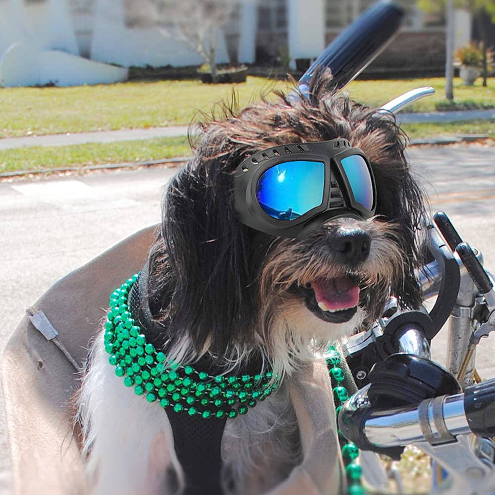 Gesuche Dog Goggles,UV Protection Wind Protection Dust Protection Snow Protection Fog Protection Soft Frame Glasses for Long Snout Dogs Eyes Protection with Adjustable Strap (S: Blue Lens)