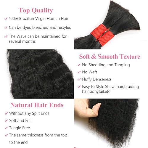 Miniatura 3 de Extensiones de cabello humano virgen brasileño súper francés para trenzar, sin trama, 3.53 oz (paquete de 2 paquetes), 100% sin procesar,