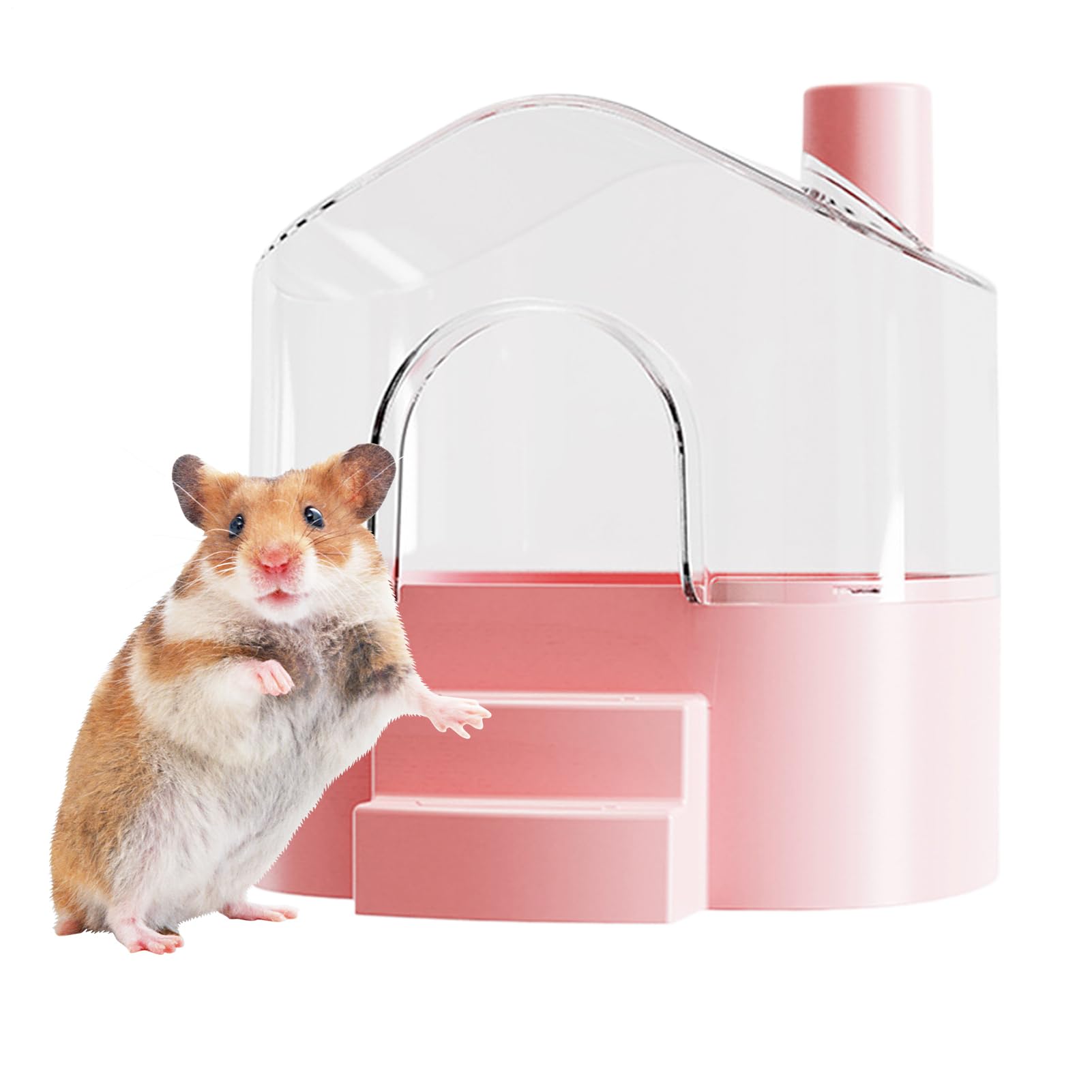 Grand bain de sable hamster transparent : accessoires petits animaux