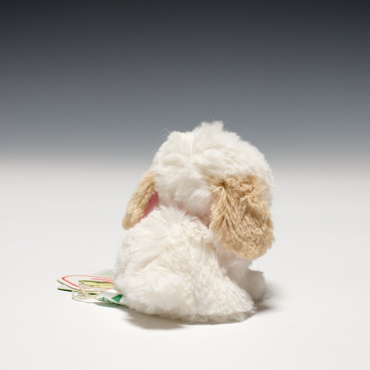 Amazon.co.jp: たけのこ キャンディフォンテーヌ トイプードル 白