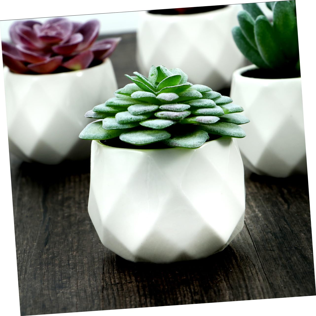 Composizione di Piante Grasse Artificiali in Vaso 4 Pezzi Ceramico Pvc