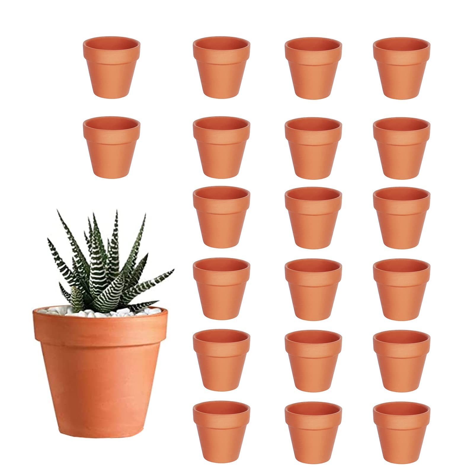 HDKAJL 20Pcs Small Terracotta Plant Pots, 3.5cm Mini Flower Pots,Small Ceramic Plant Pots with Drain Hole, Tiny Terracotta Pots for Cactus Succulent House Plants Flowers DIY Home Office Indoor Outdoor
