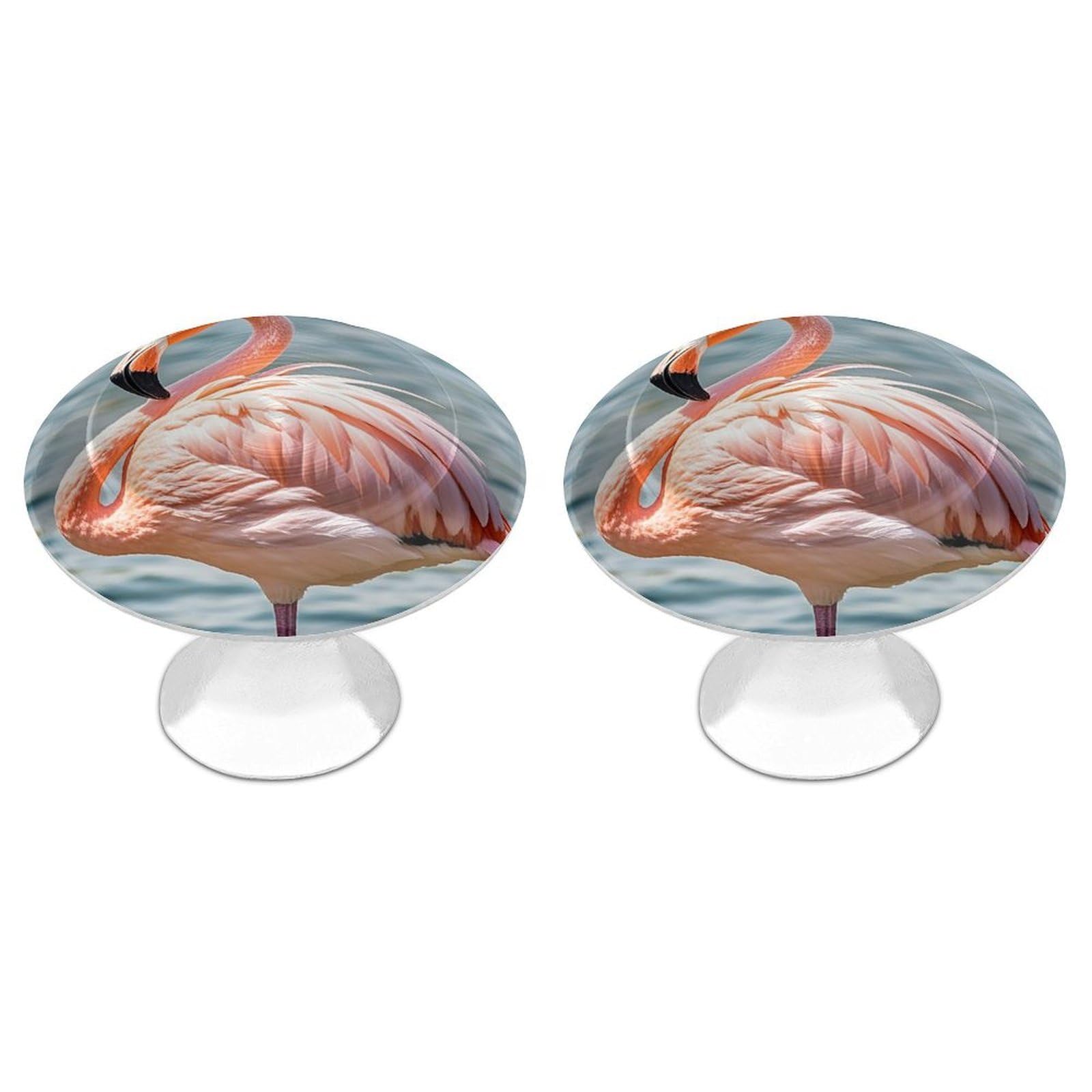 FekiLoot Pink Flamingo Cabinet Knob 2 Pack Mini Round Drawer Pulls Stainless Steel Dresser Drawer Knobs Kitchen Drawer Hardware for Bathroom Dresser Closet Door Knobs