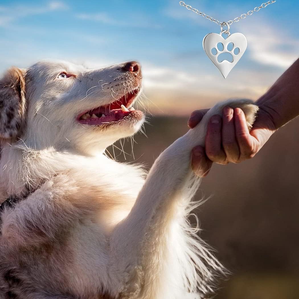 Dog Mom Gifts for Women, 925 Sterling Silver Paw Necklace, Heart Pendant, Mother’s Day Gift for Mom, Dog Lovers Necklace - Image 6