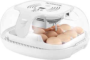 Premium Automatic 16-Egg Incubator for Optimal Hatching Success