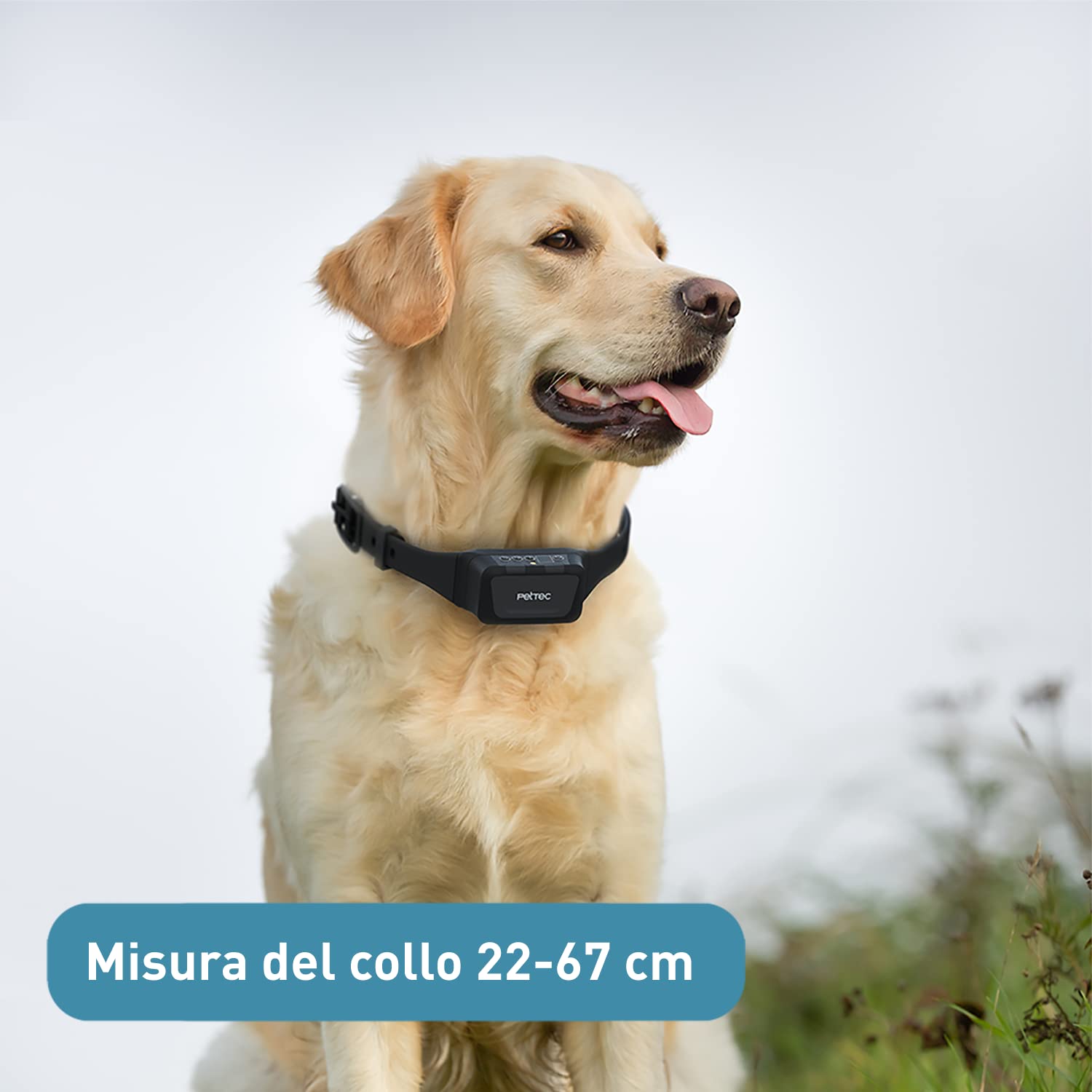 PetTec Collare da Addestramento per Cani con Spray, Portata fino a 600m - Collare a Spray con Telecomando - Impermeabile, Spray Innocuo, Intensità Regolabile - Dispositivo Sicuro per i Cani