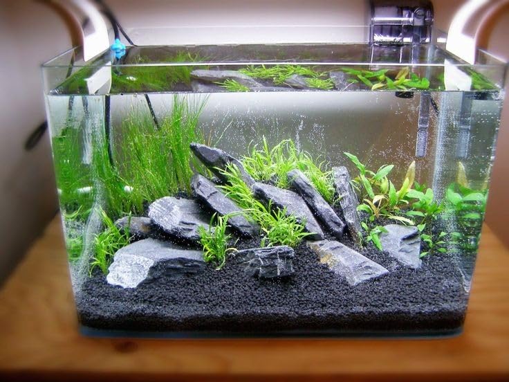 Medium Size Black Gravel Chips for Aquarium Gravel and Outdoor/Indoor Plants (1 Kg) (3 KG) (B0CFQB8VCP) Amazon Price History, Amazon Price Tracker