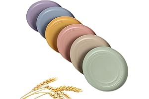 Unbreakable Wheat Straw Bread Plate Set of 6