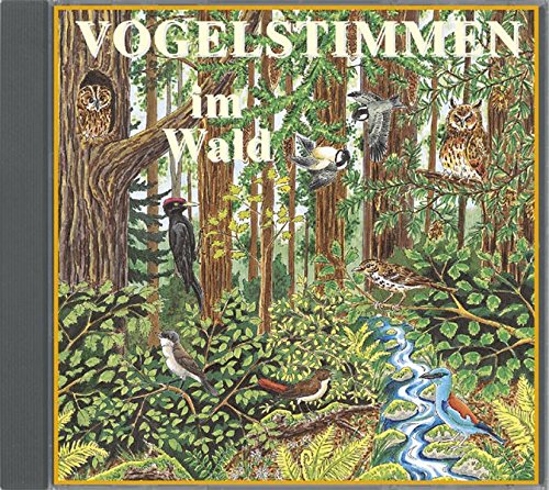 Preisvergleich Produktbild Vogelstimmen im Wald, Ed.4, 1 Audio-CD