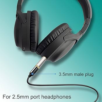 Amazon.co.jp: Xiatiaosann 2.5mmオス- 3.5mmメス変換プラグ