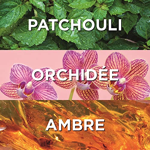 Eau Jeune - Eau de Toilette Rebelle Chic - 75 ml - Image 7