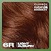 Clairol Natural Instincts Demi-Permanent Hair Dye, 6R Light Auburn Hair Color, Pack of 3