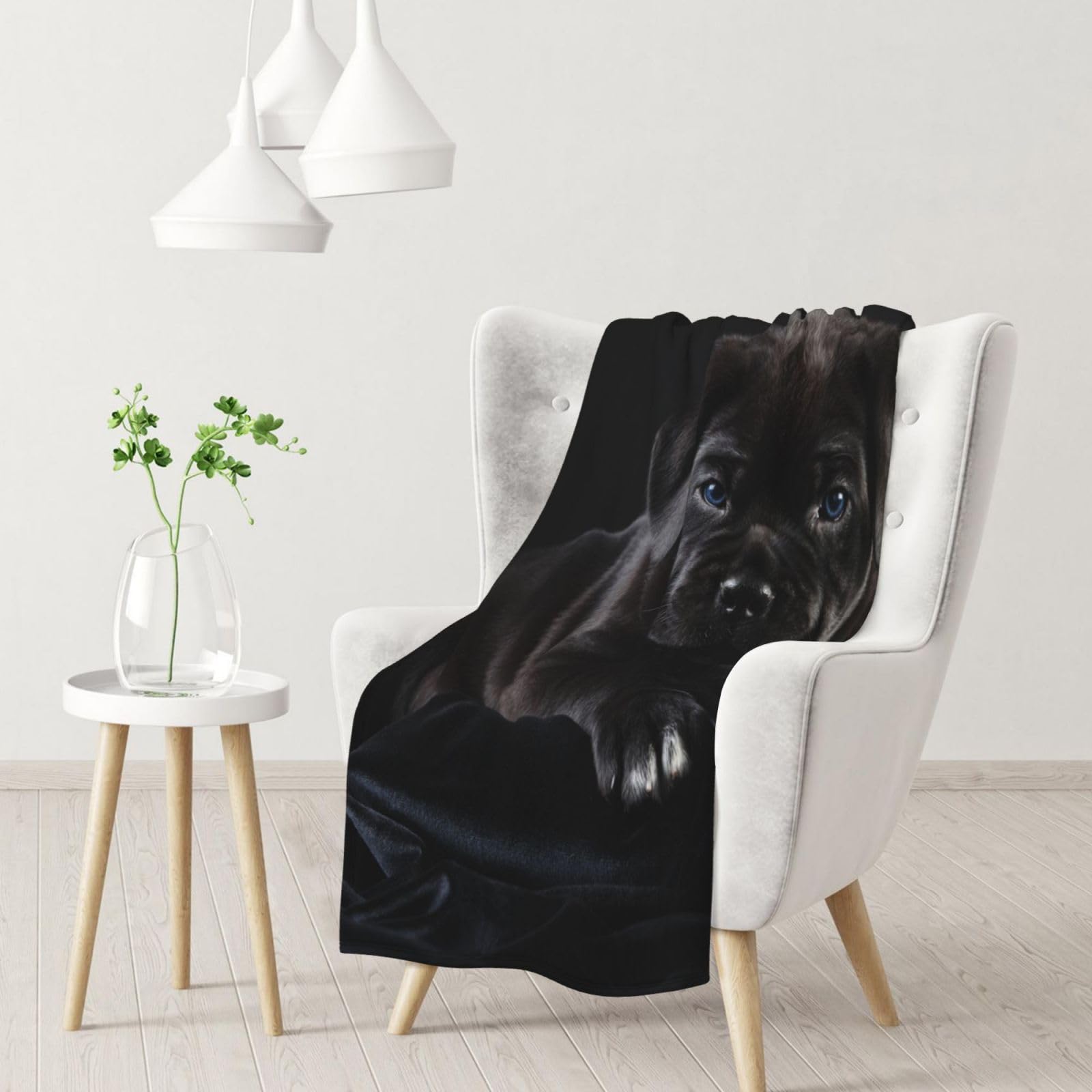 Gawuoab Black Cane Corso Pets Puppy Cane Corso Soft Cozy Blankets Throw Flannel Blanket For Couch