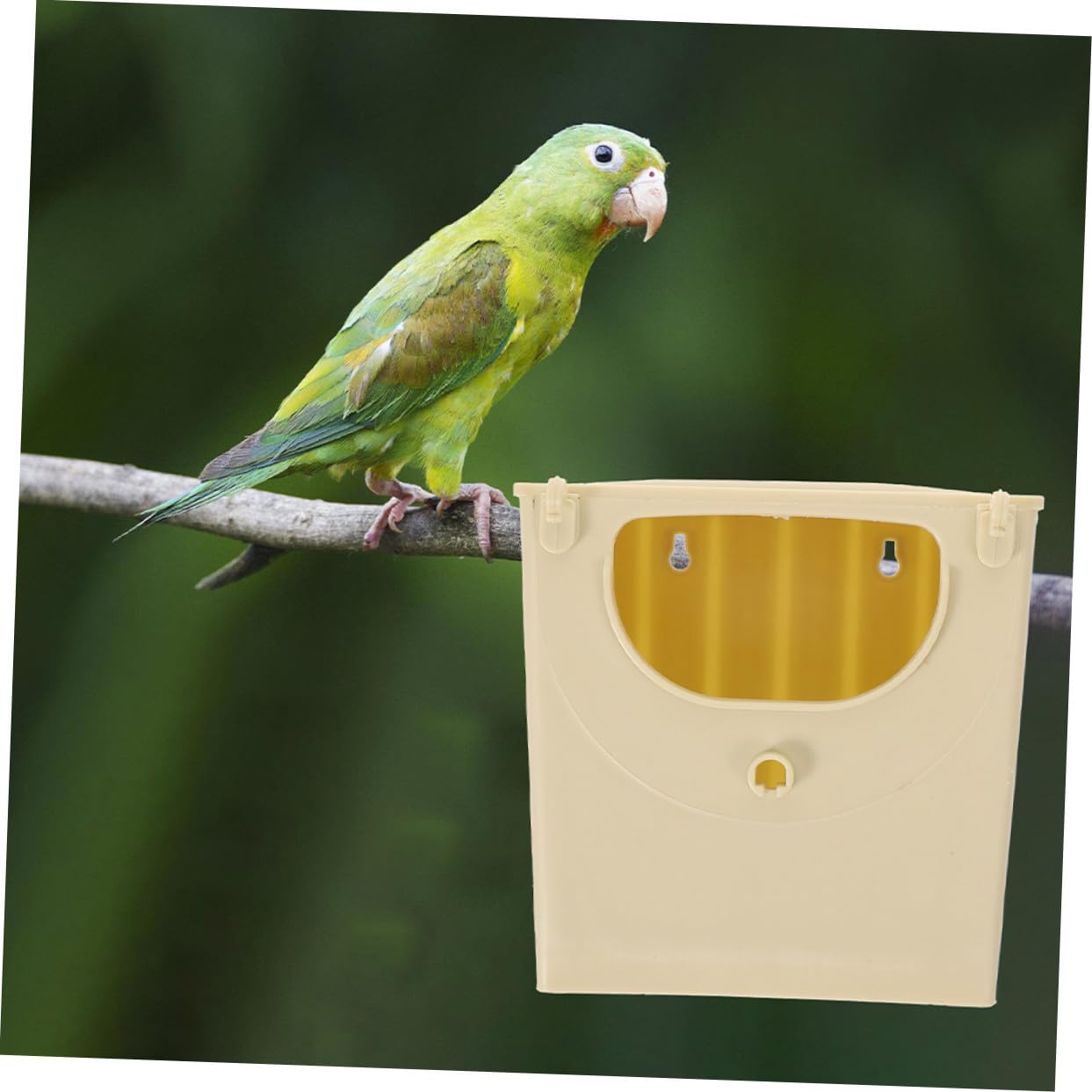 VICASKY Casetta Nido per Uccelli in Plastica 5 Unitá, Stabile e Adatta per Piccoli Pappagalli e Cocoriti, per Allevamento e Incubazione in Ambienti Chiusi