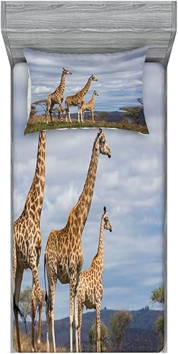 Miniatura 164 de Ambesonne Juego de sábanas bajeras y fundas de almohada, dibujos de aviones antiguos, vuelos clásicos con fechas, estilo vintage, diseño nostálgico,