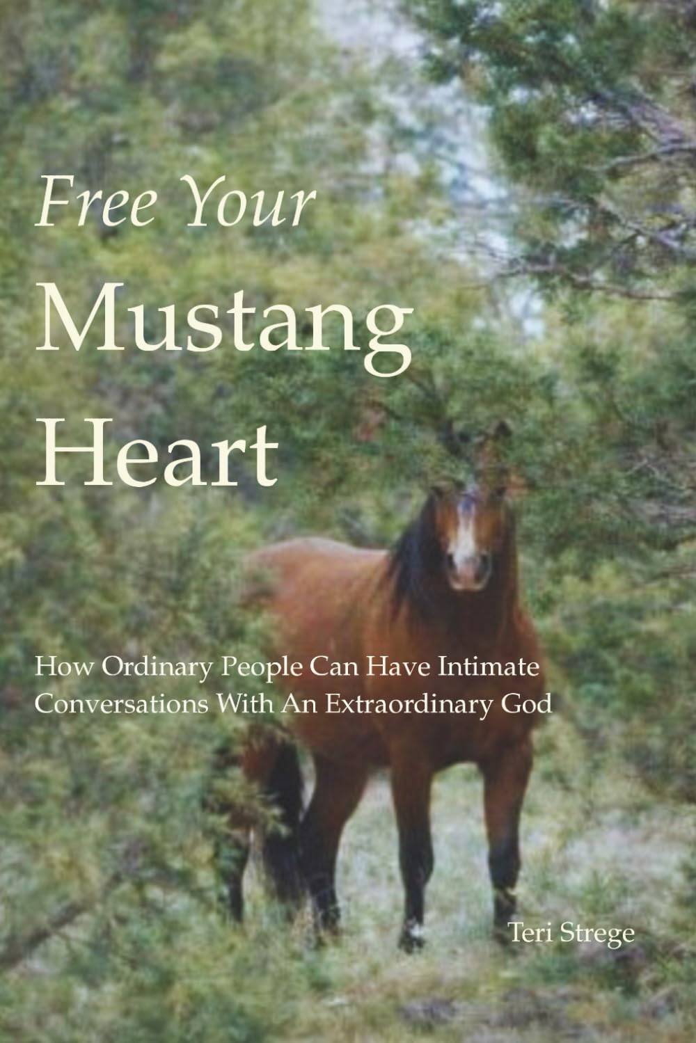 Free Your Mustang Heart: How Ordinary People Can Have Intimate Conversations With An Extraordinary God