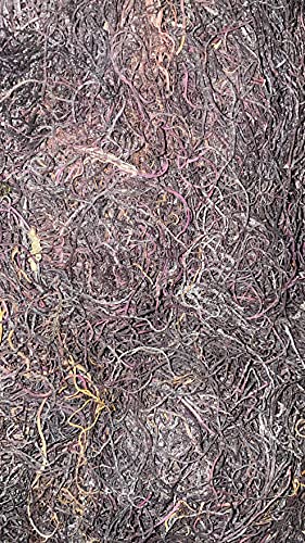 Bulk 5Lb Rare Purple Sea Moss Gracilaria Irish Moss Wholesale Wild-Crafted In Jamaica Algae Recommended By Dr. Sebi, 80 Ounce #TOP3