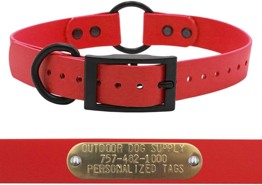 1" SoftFlex Center Ring Dog Collar with Custom 3/4" Brass Nameplate(18", Black Licorice)