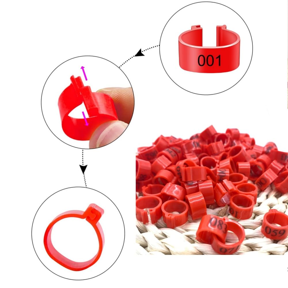 Anillos para muslo de pollo numerados 1-100 para aves de corral rojo