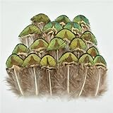 Utilisation large de plumes de paon : grandes plumes de paon naturelles longues, pour travaux manuels, décoration de vase, pour Noël, vacances, mariage, maison, fête et autres occasions. En outre, les plumes de paon peuvent être utilisées pour toute décoration liée à l'art.
