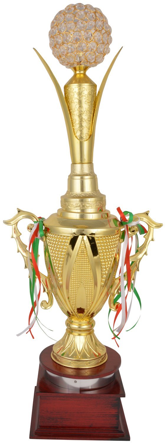 TROPHY JUNCTION Metallic Fiber Trophy (Gold, 26 inches) (B01GZP71NC) Amazon Price History, Amazon Price Tracker