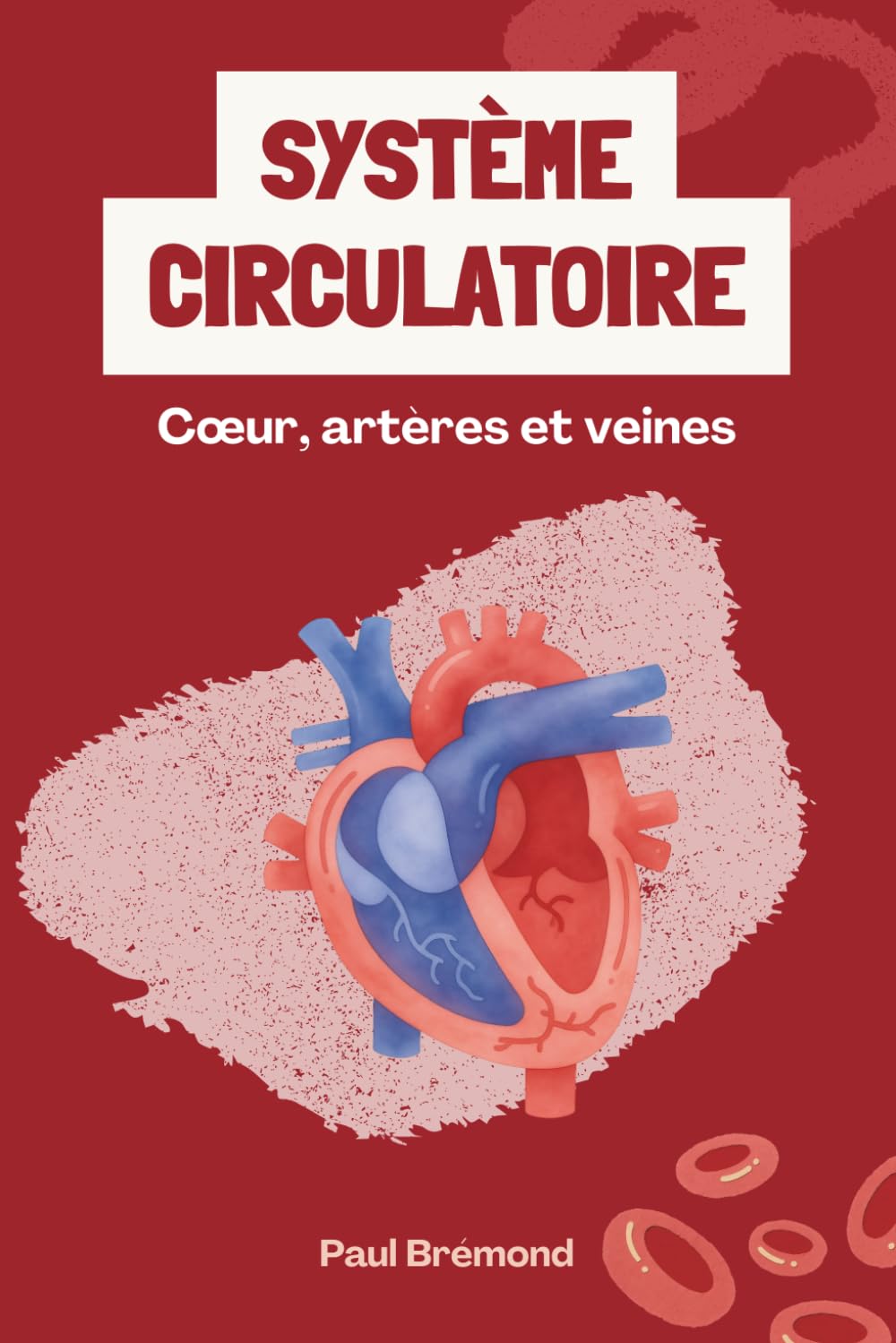 Système circulatoire: Cœur, artères et veines