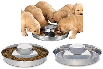 Explore Weaning Bowls For Puppies Amazon Com