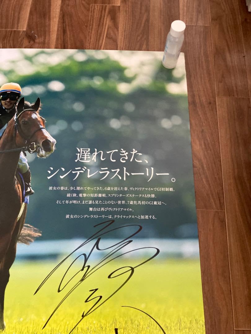 Amazon.co.jp: JRA名馬 直筆サインポスター 戸崎騎手 B1 : スポーツ