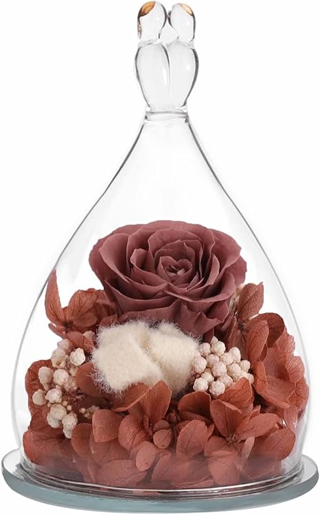 Flower inside coconut astrology