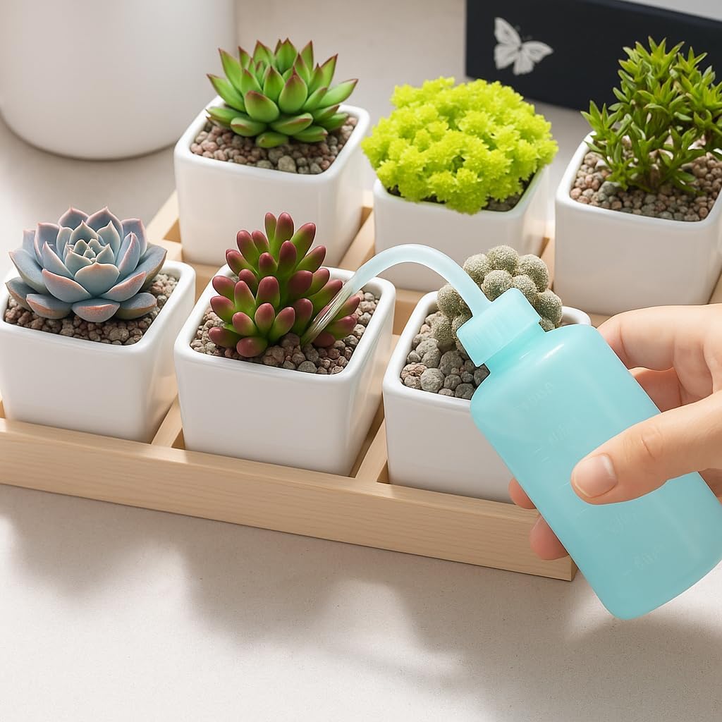 2 Pack 250ml Squeeze Wash Bottle with Curved Nozzle for Watering and Rinsing