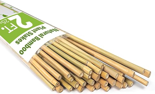 Natural Bamboo Poles, 2 Feet Bamboo Sticks for Plants, Wood Garden Stakes for Tomato, Bean, Flowers, Trees Potted and Climbing Plants, 25 Pack