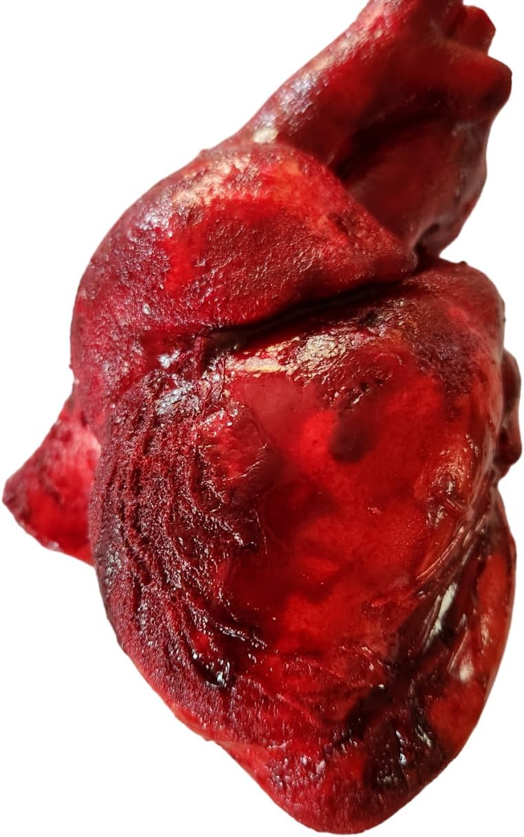 Life size Realistic Bloody cut out Anatomical Heart prop by Dead Head Props, Halloween prop, Horror prop decoration