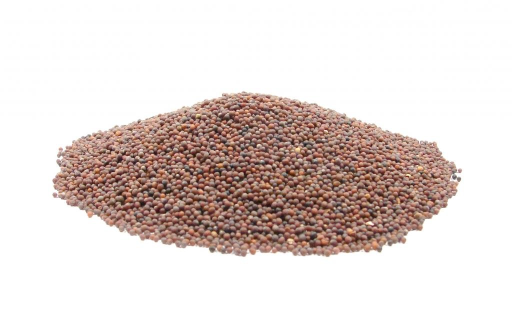 Brown Mustard Seed4ozHotter Whole Brown Mustard