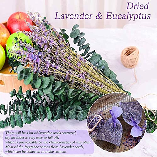 15 tallos de eucalipto y lavanda seca preservada miniatura 7