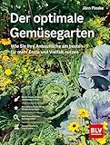 Der optimale Gemüsegarten: Wie Sie Ihre Anbaufläche am besten für mehr Ernte und Vielfalt nutzen