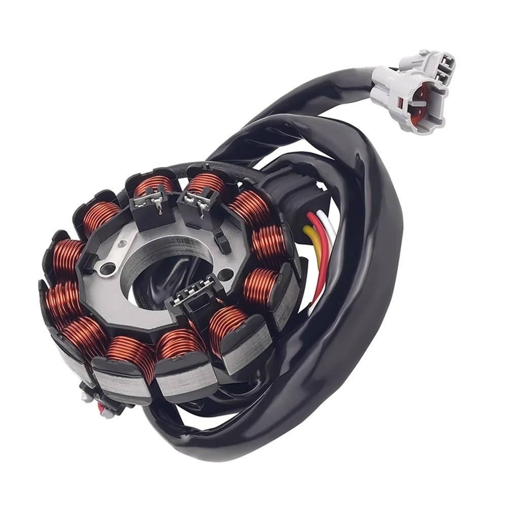Kit de Bobina de estator de generador para Motocicleta Road Passion para Yamaha WR250F WR 250 F 5UM814100900 5UM814103100