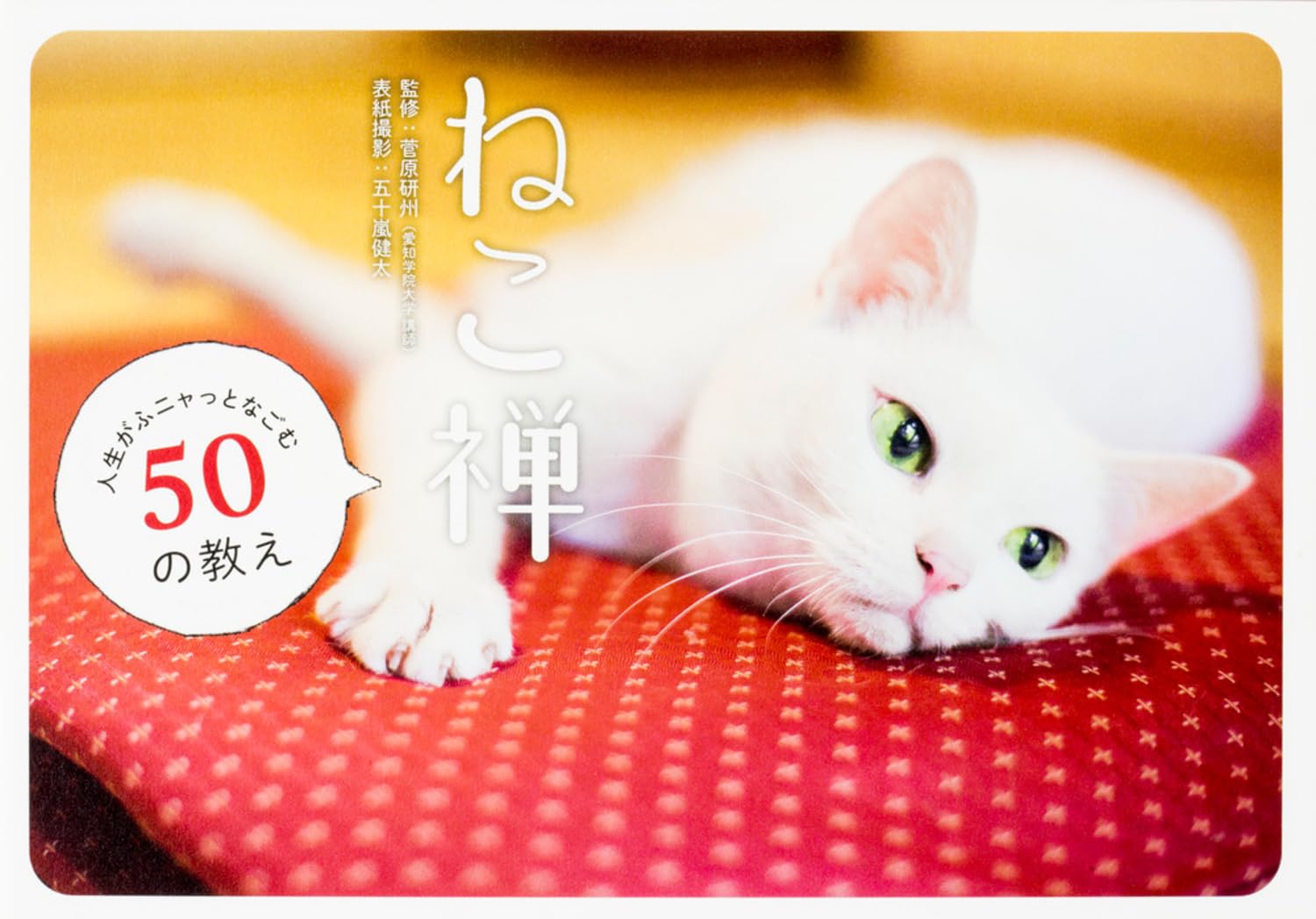 ねこ禅 人生がふニャっとなごむ50の教え | 菅原 研州, 五十嵐健太 |本