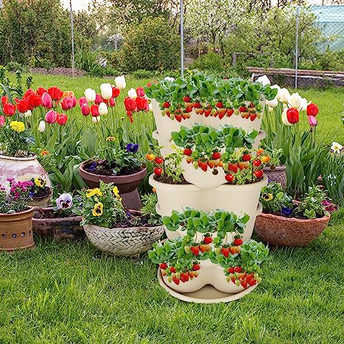 RooTrimmer 5 Tier Vertical Planters Stackable Gardening Planter for Strawberries, Flowers, Herb and Vegetables, White - Thumbnail 7