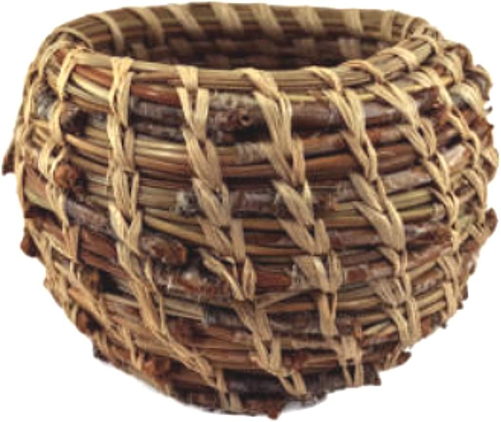 Wildwoods Craft Kits Coiled Basket Kit - Pine Needle - Quick Start (makes one 3in. wide basket)